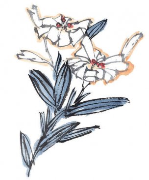 近现代 佚名 花卉图册J173-69-国画百花争艳448[花鸟
