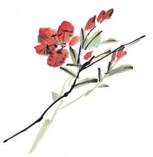近现代 佚名 花卉图册J173-69-国画百花争艳445[花鸟