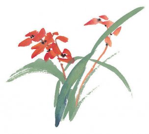 近现代 佚名 花卉图册J173-69-国画百花争艳482[花鸟