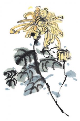 近现代 佚名 花卉图册J173-69-国画百花争艳440[花鸟