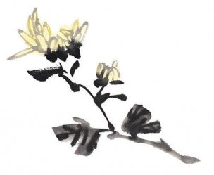 近现代 佚名 花卉图册J173-69-国画百花争艳401[花鸟