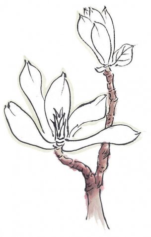 近现代 佚名 花卉图册J173-69-国画百花争艳396[花鸟