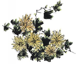 近现代 佚名 花卉图册J173-69-国画百花争艳397[花鸟