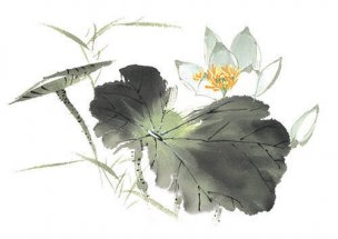 近现代 佚名 花卉图册J173-69-国画百花争艳418[花鸟