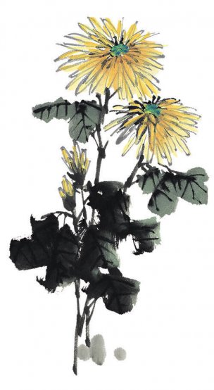 近现代 佚名 花卉图册J173-69-国画百花争艳420[花鸟