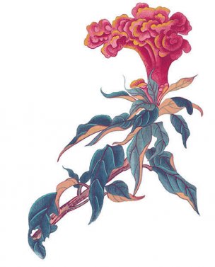 近现代 佚名 花卉图册J173-69-国画百花争艳375[花鸟