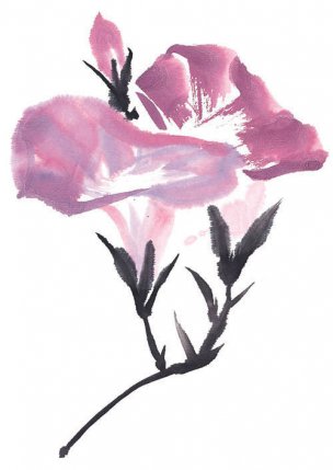 近现代 佚名 花卉图册J173-69-国画百花争艳454[花鸟
