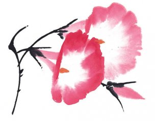 近现代 佚名 花卉图册J173-69-国画百花争艳457[花鸟