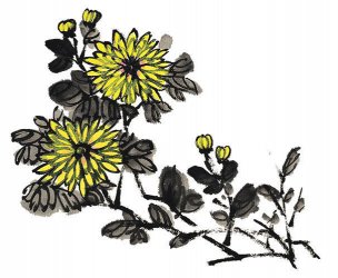 近现代 佚名 花卉图册J173-69-国画百花争艳443[花鸟