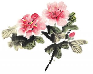 近现代 佚名 花卉图册J173-69-国画百花争艳446[花鸟