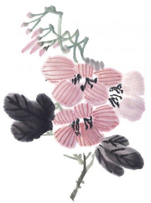 近现代 佚名 花卉图册J173-69-国画百花争艳455[花鸟