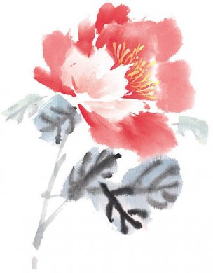 近现代 佚名 花卉图册J173-69-国画百花争艳450[花鸟