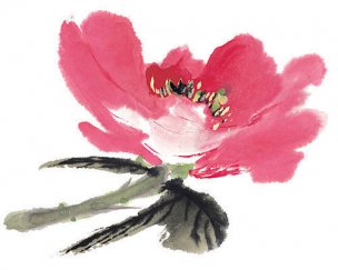 近现代 佚名 花卉图册J173-69-国画百花争艳452[花鸟