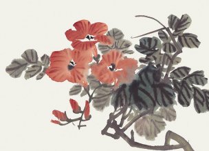 近现代 佚名 花卉图册J173-69-国画百花争艳42[花鸟
