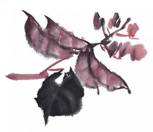 近现代 佚名 花卉图册J173-69-国画百花争艳434[花鸟