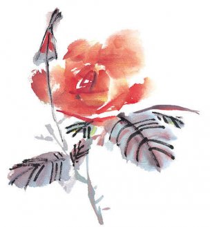 近现代 佚名 花卉图册J173-69-国画百花争艳435[花鸟