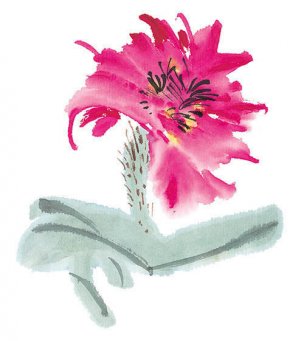 近现代 佚名 花卉图册J173-69-国画百花争艳404[花鸟