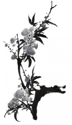 近现代 佚名 花卉图册J173-69-国画百花争艳39[花鸟