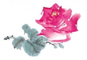近现代 佚名 花卉图册J173-69-国画百花争艳402[花鸟