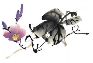 近现代 佚名 花卉图册J173-69-国画百花争艳409[花鸟
