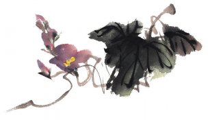 近现代 佚名 花卉图册J173-69-国画百花争艳406[花鸟