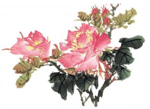 近现代 佚名 花卉图册J173-69-国画百花争艳422[花鸟