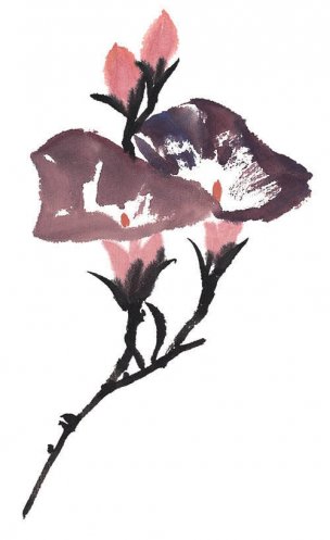 近现代 佚名 花卉图册J173-69-国画百花争艳405[花鸟