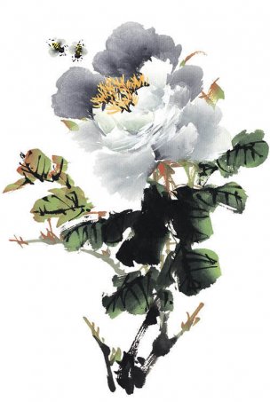近现代 佚名 花卉图册J173-69-国画百花争艳412[花鸟