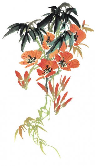 近现代 佚名 花卉图册J173-69-国画百花争艳414[花鸟