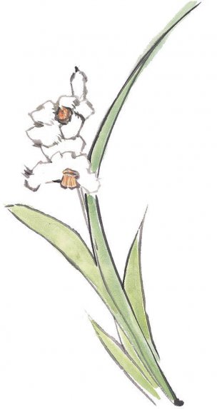 近现代 佚名 花卉图册J173-69-国画百花争艳394[花鸟
