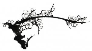 近现代 佚名 花卉图册J173-69-国画百花争艳40[花鸟