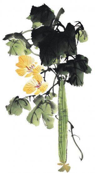 近现代 佚名 花卉图册J173-69-国画百花争艳421[花鸟