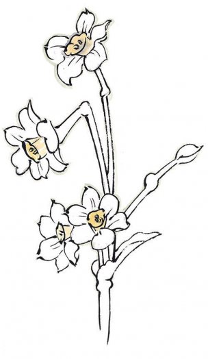 近现代 佚名 花卉图册J173-69-国画百花争艳395[花鸟