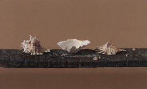近现代 徐青巍 油画 蚌壳[静物] 
