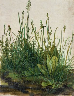近现代 佚名 油画 31x40[风景]