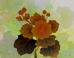 美国美术 佚名 XX[花卉]