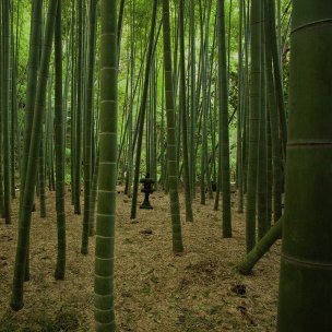 美国美术 佚名 WM[风景]