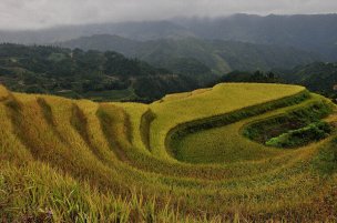 美国美术 佚名 WL[风景]