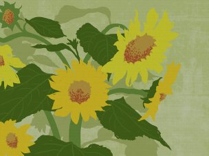 美国美术 佚名 WX[花卉]