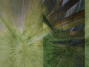 美国美术 佚名 GX[植物]