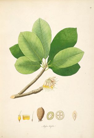 美国美术 佚名 B1000 (910)[绿色]