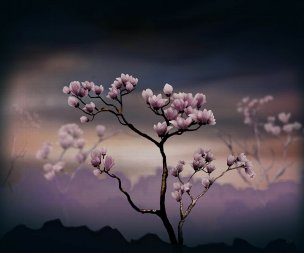 美国美术 佚名 4501002[花卉] 