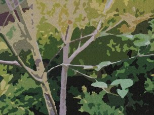 美国美术 佚名 4303041[绿色]