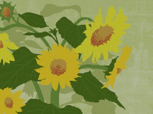 美国美术 佚名 4188654[花卉]