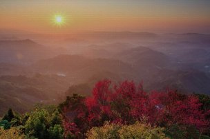 美国美术 佚名 4136470[风景]
