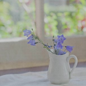 美国美术 佚名 4135755[花卉]