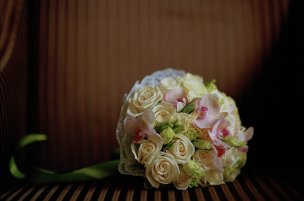美国美术 佚名 4135639[花卉]