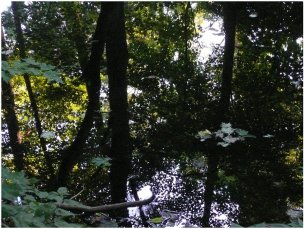 美国美术 佚名 3791230[风景]