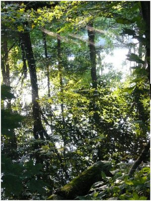 美国美术 佚名 3791076[风景]