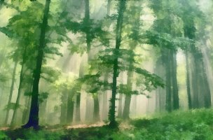美国美术 佚名 2863889[风景]